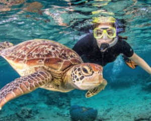One Day Trip – Snorkeling Gili Trawangan, Meno, & Air